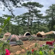 BBQ & Camping Zone