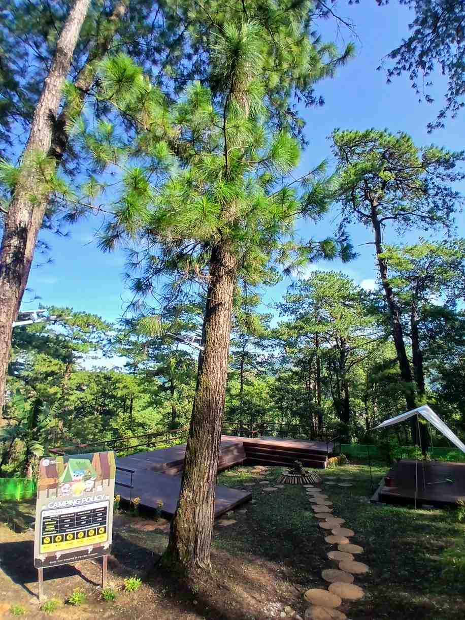 Study in A&amp;J e-Edu Academy