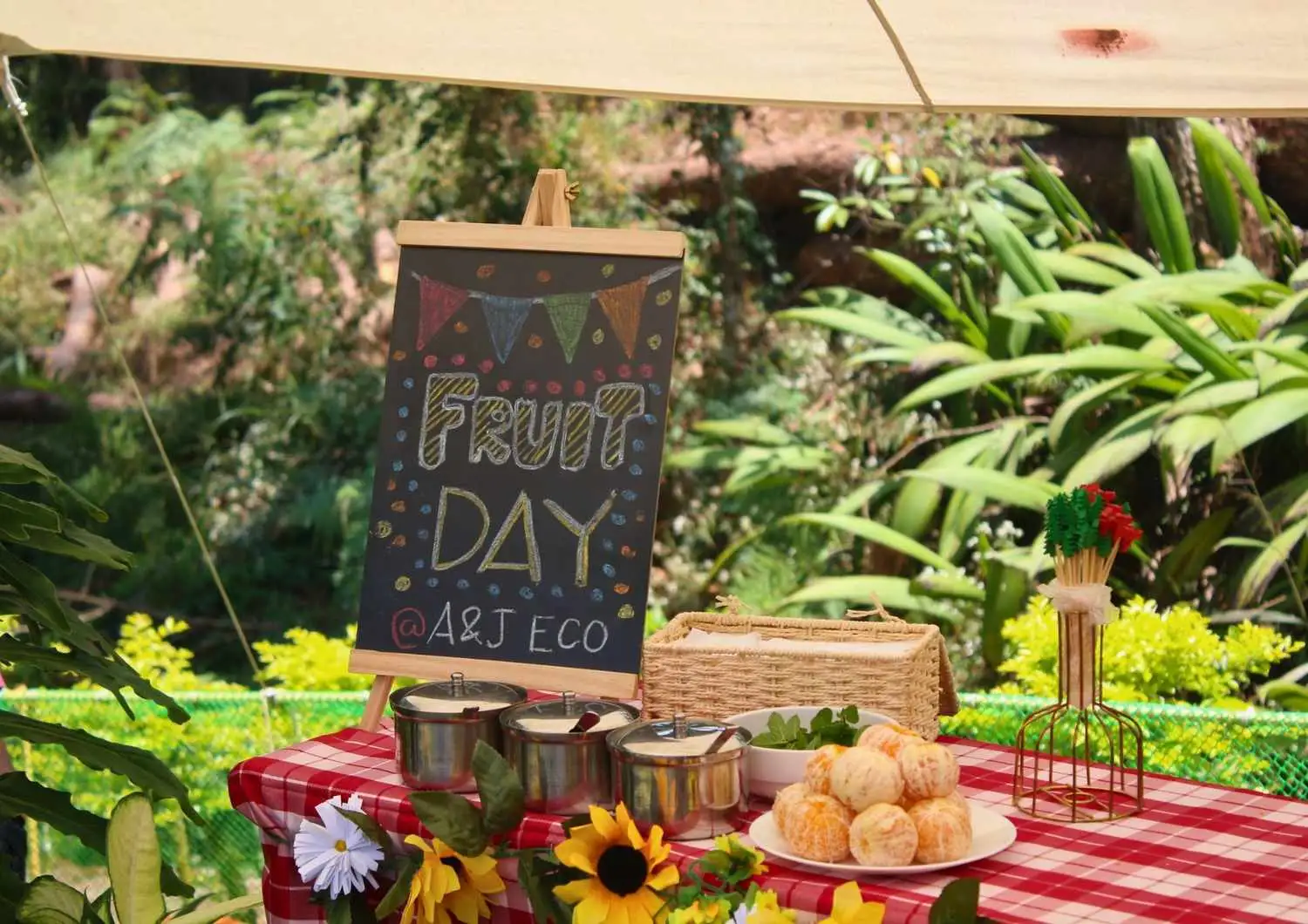 Fruit Day